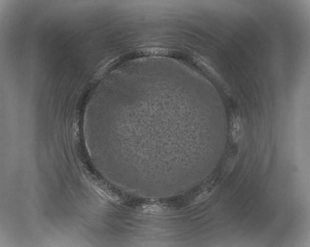 X0000079280259200612011705