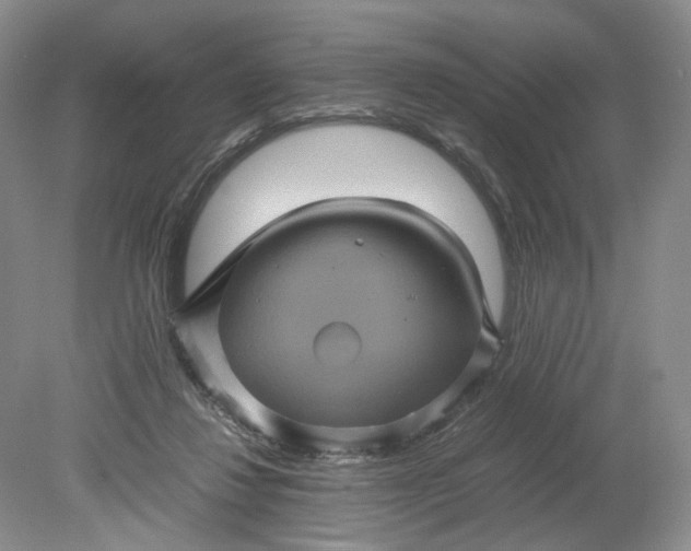 X0000079280260200612011705