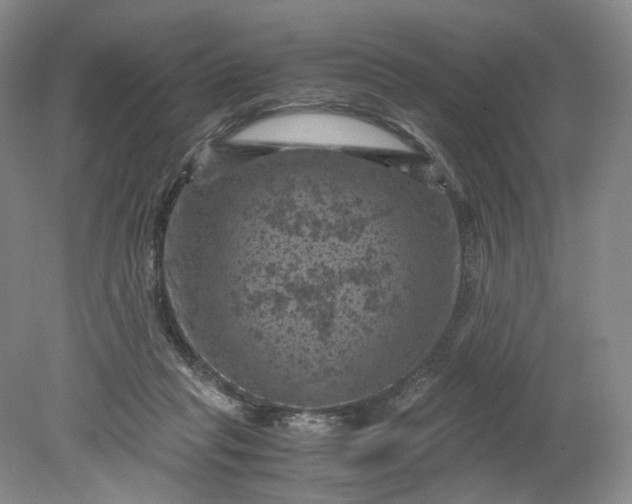 X0000079280261200612011705