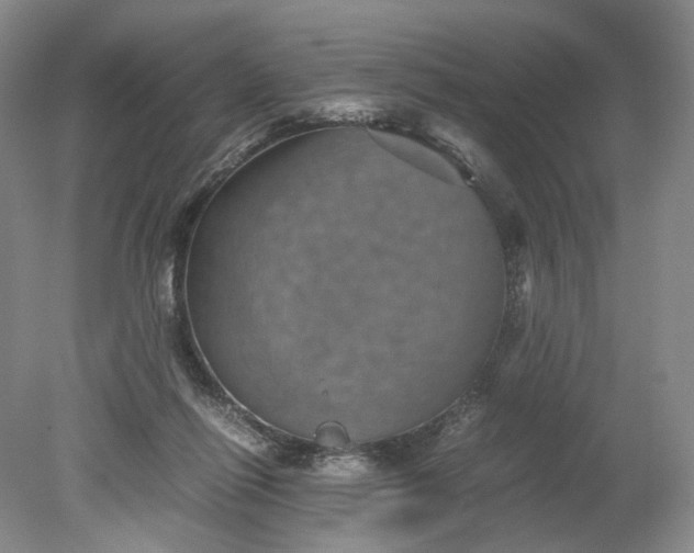 X0000079280262200612011706