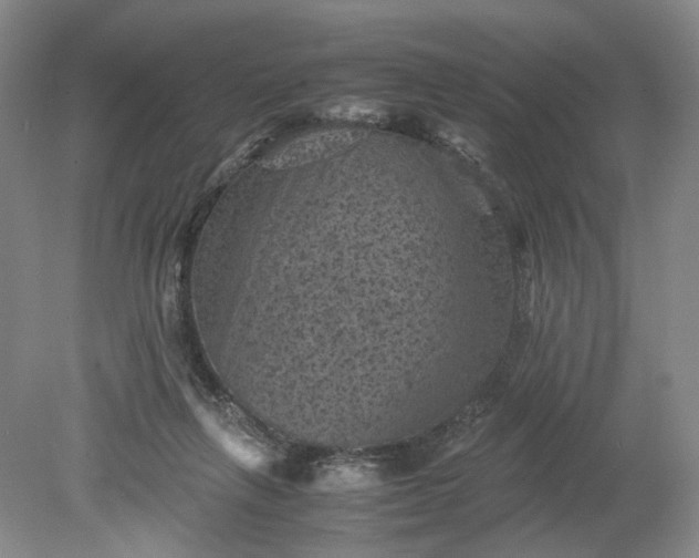 X0000079280263200612011706