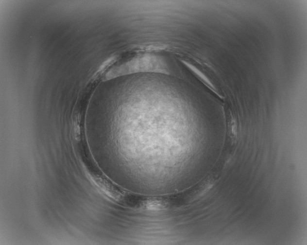 X0000079280264200612011706