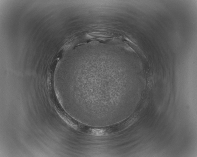 X0000079280265200612011706