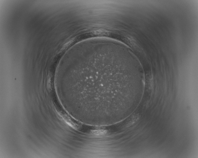 X0000079280266200612011706