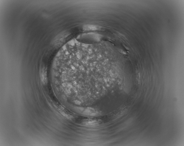 X0000079280267200612011706