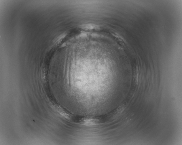 X0000079280268200612011706