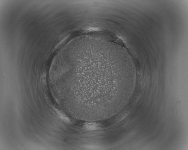 X0000079280269200612011706