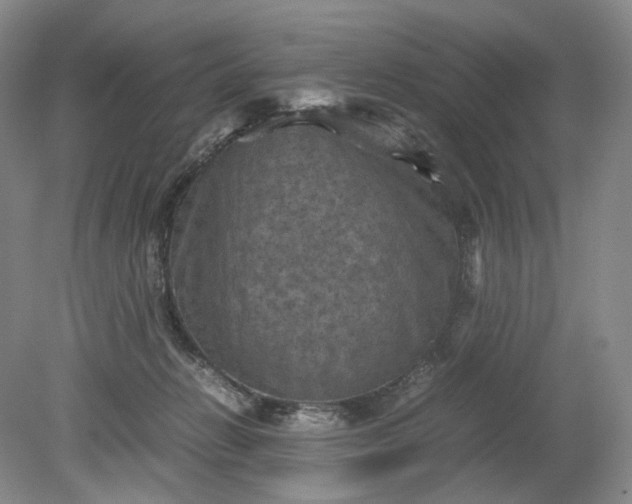 X0000079280270200612011706