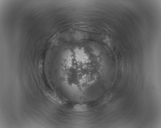 X0000079280271200612011706