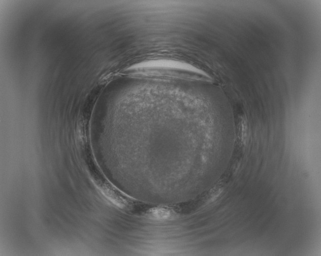 X0000079280272200612011706