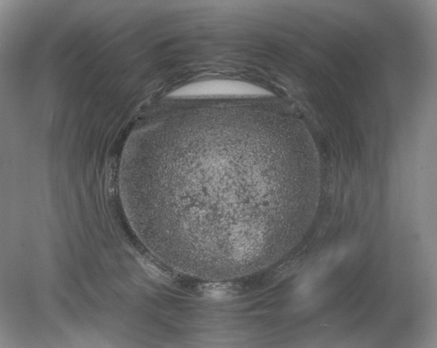 X0000079280273200612011706