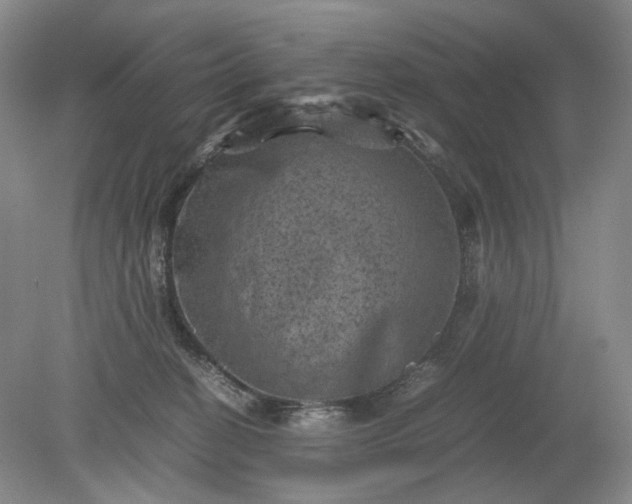 X0000079280274200612011706