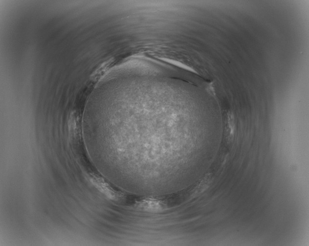 X0000079280276200612011706