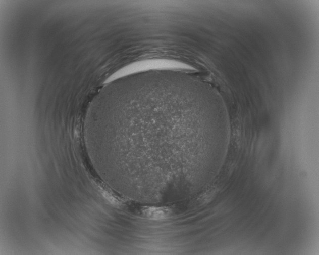 X0000079280277200612011706