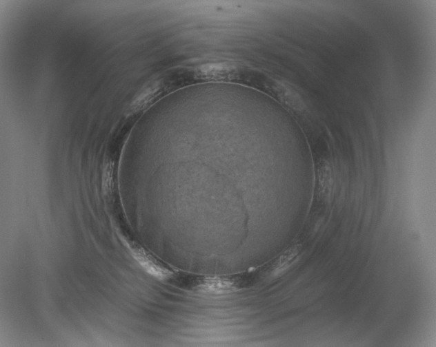 X0000079280278200612011706