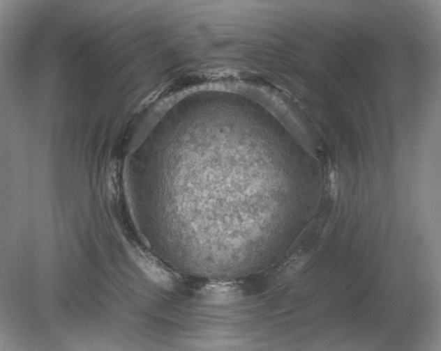 X0000079280280200612011706