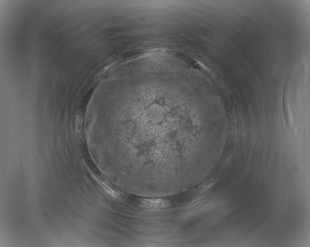 X0000079280281200612011706