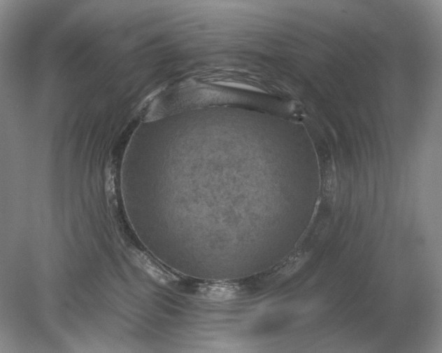 X0000079280282200612011706