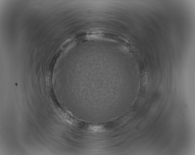 X0000079280283200612011706