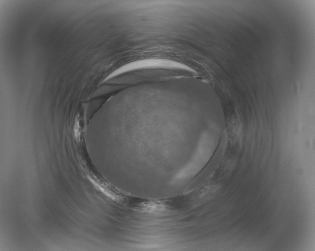 X0000079280284200612011706