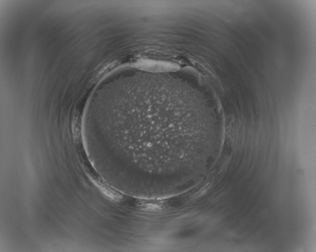 X0000079280285200612011706