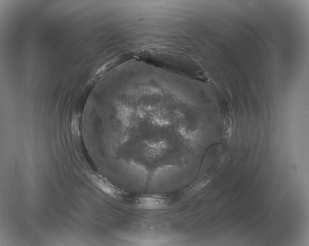 X0000079280286200612011706