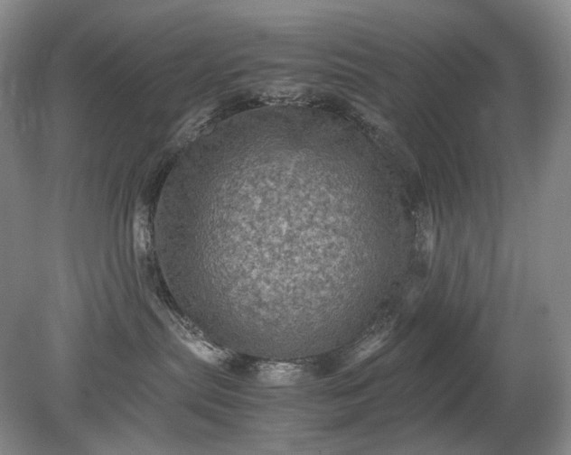 X0000079280287200612011706