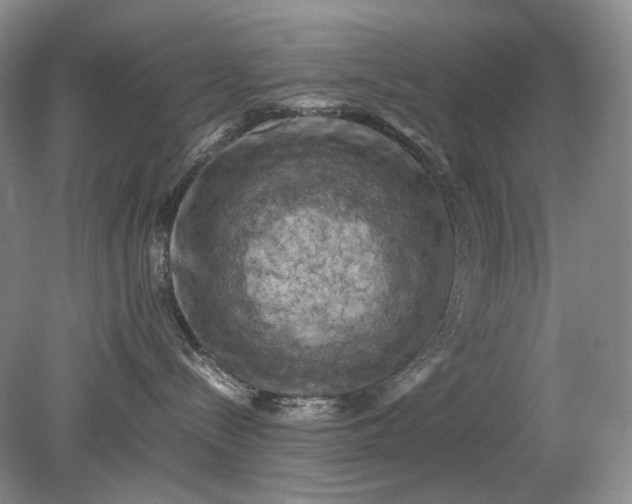 X0000079280288200612011706