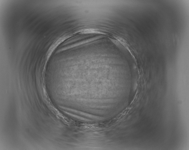 X0000079280289200612011705