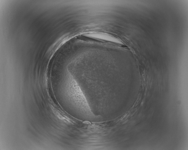 X0000079280290200612011705