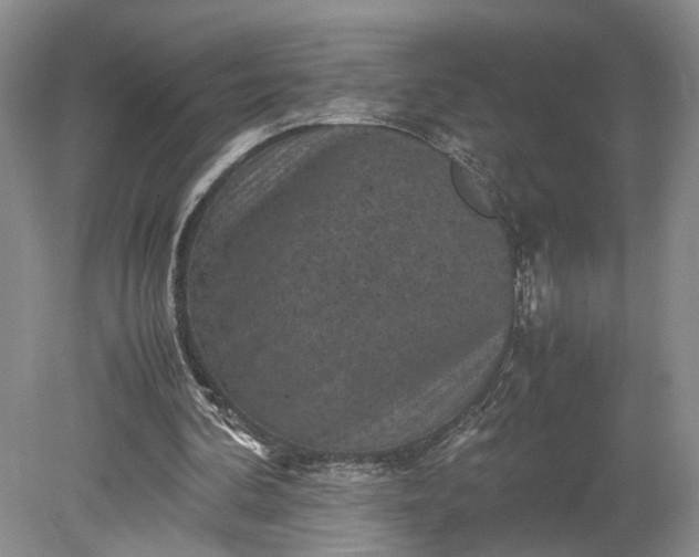 X0000079280292200612011705