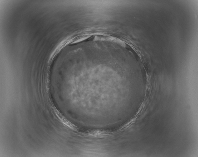 X0000079280293200612011705