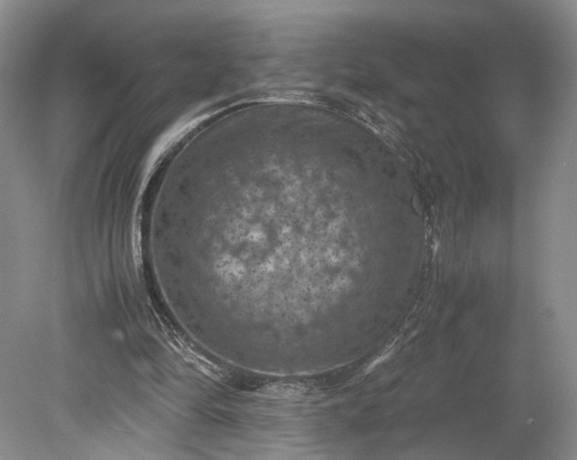 X0000079280294200612011705