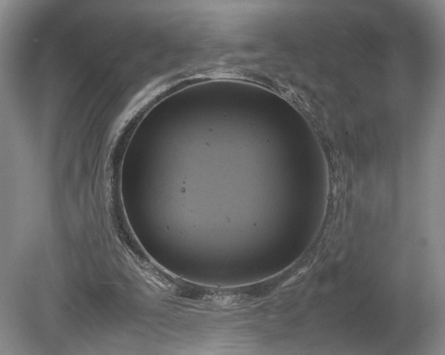 X0000079280295200612011705