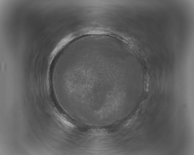 X0000079280296200612011705