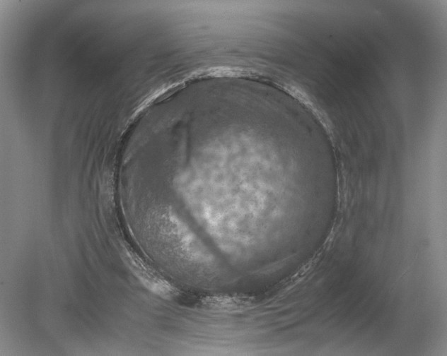 X0000079280297200612011705