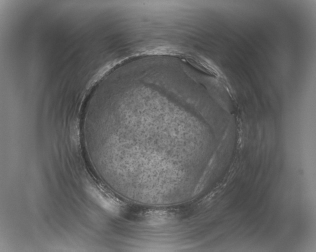 X0000079280298200612011705