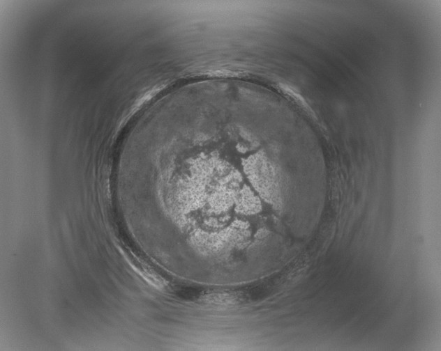 X0000079280299200612011705