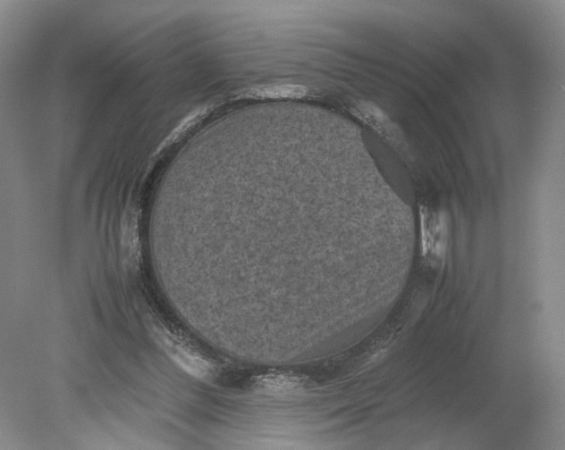 X0000079280300200612011705