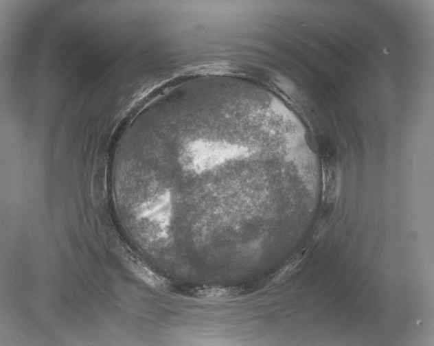 X0000079280301200612011705