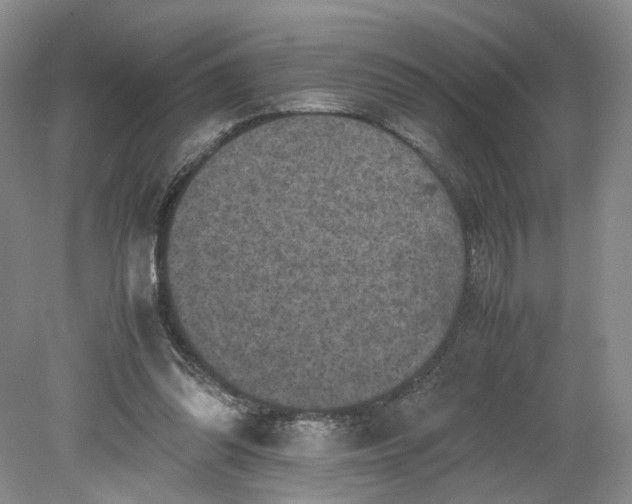 X0000079280302200612011705