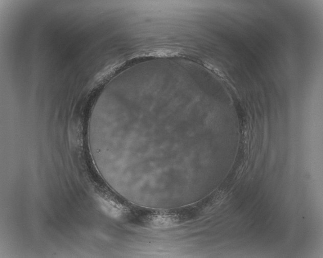 X0000079280303200612011705