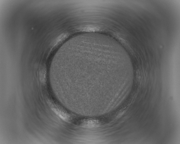 X0000079280304200612011705