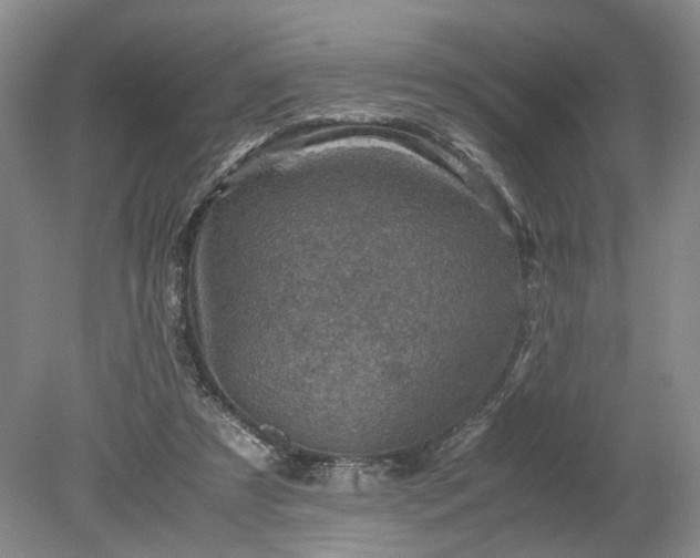 X0000079280305200612011705