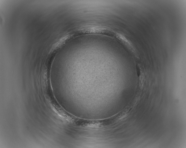 X0000079280306200612011705