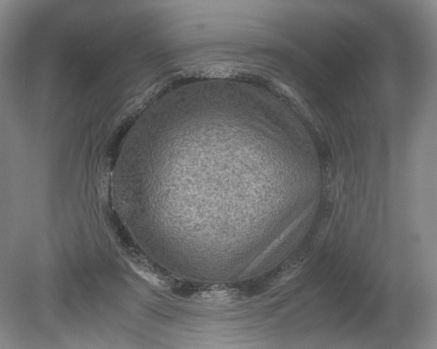 X0000079280307200612011705