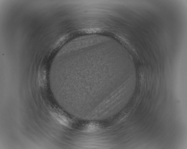 X0000079280308200612011705