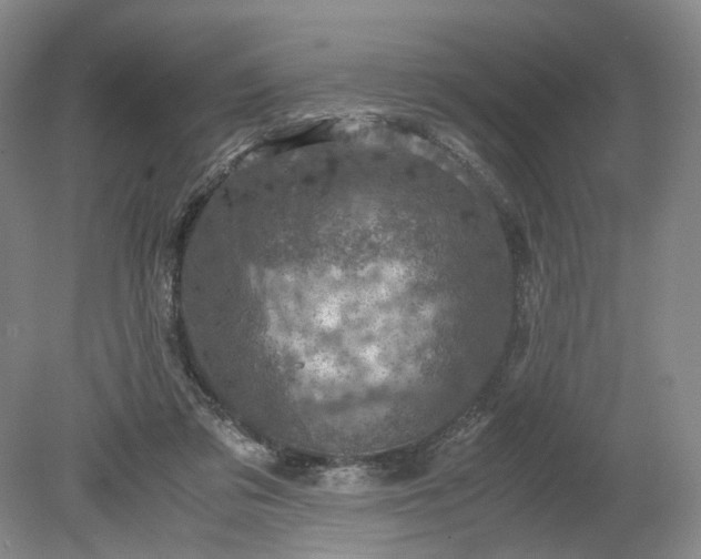 X0000079280309200612011705