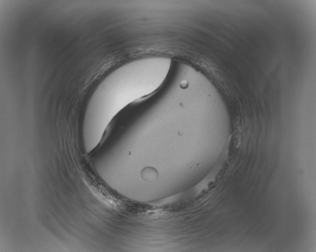 X0000079280310200612011705