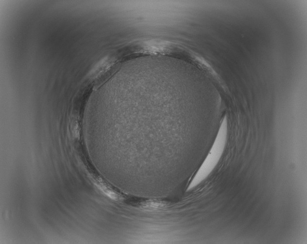 X0000079280313200612011705